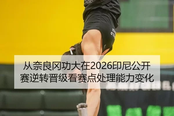 cong-nai-liang-gang-gong-da-zai-yin-ni-gong-kai-sai-ni-zhuan-jin-ji-kan-sai-dian-chu-li-neng-li-bian-hua-2-218.jpg
