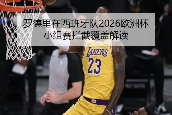 罗德里在西班牙队2026欧洲杯小组赛拦截覆盖解读