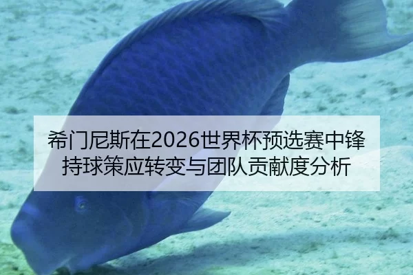 希门尼斯在2026世界杯预选赛中锋持球策应转变与团队贡献度分析